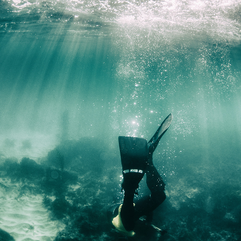 diver hitting floor of water
